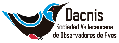 DACNIS Valle del Cauca